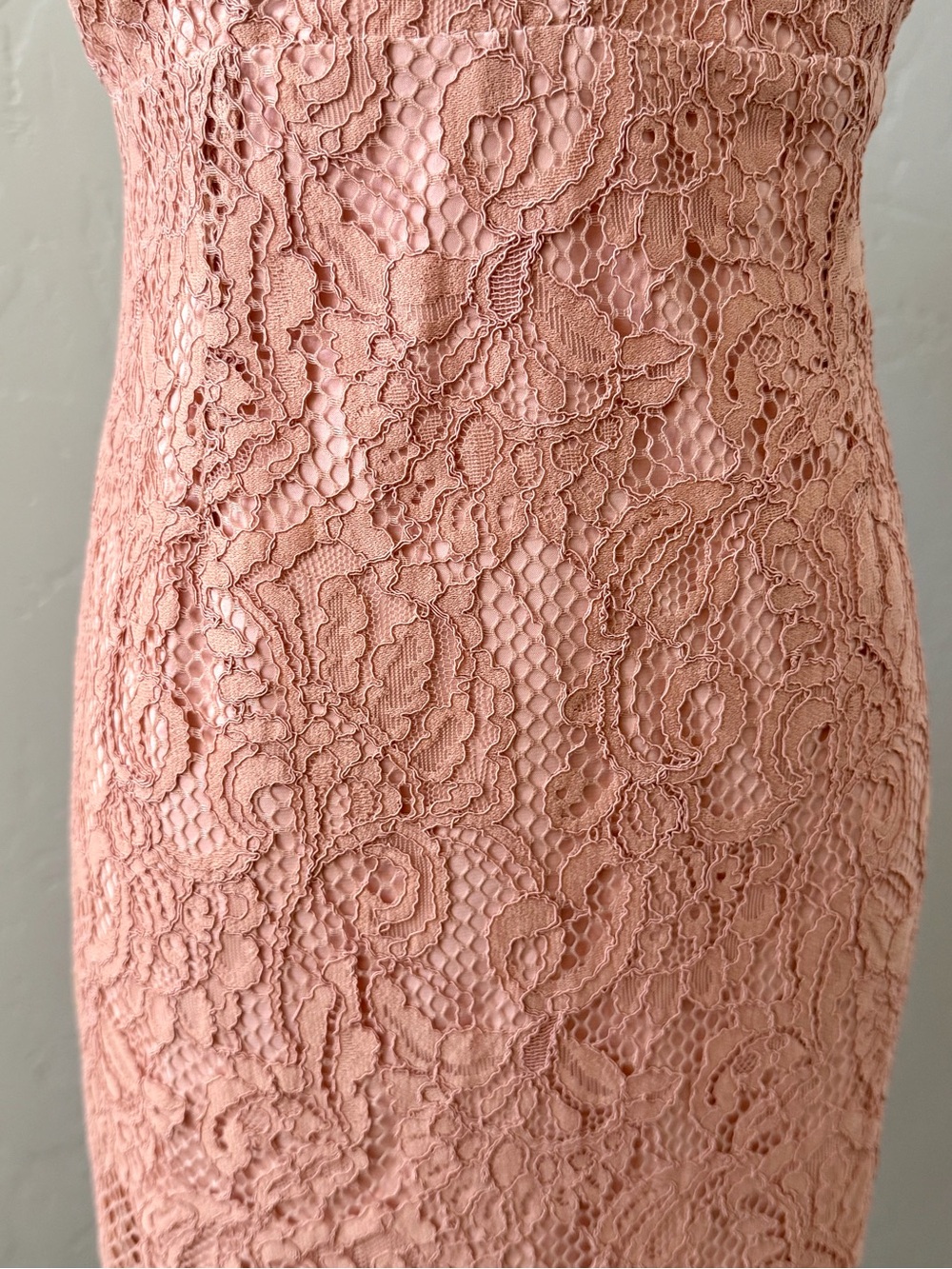 Bardot Gia Lace Midi Dress Blush Pink Wedding Guest Pencil NWT 6 - Picture 8 of 14